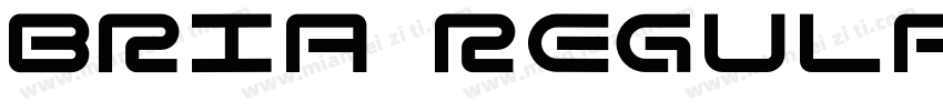 BRIA Regular字体转换